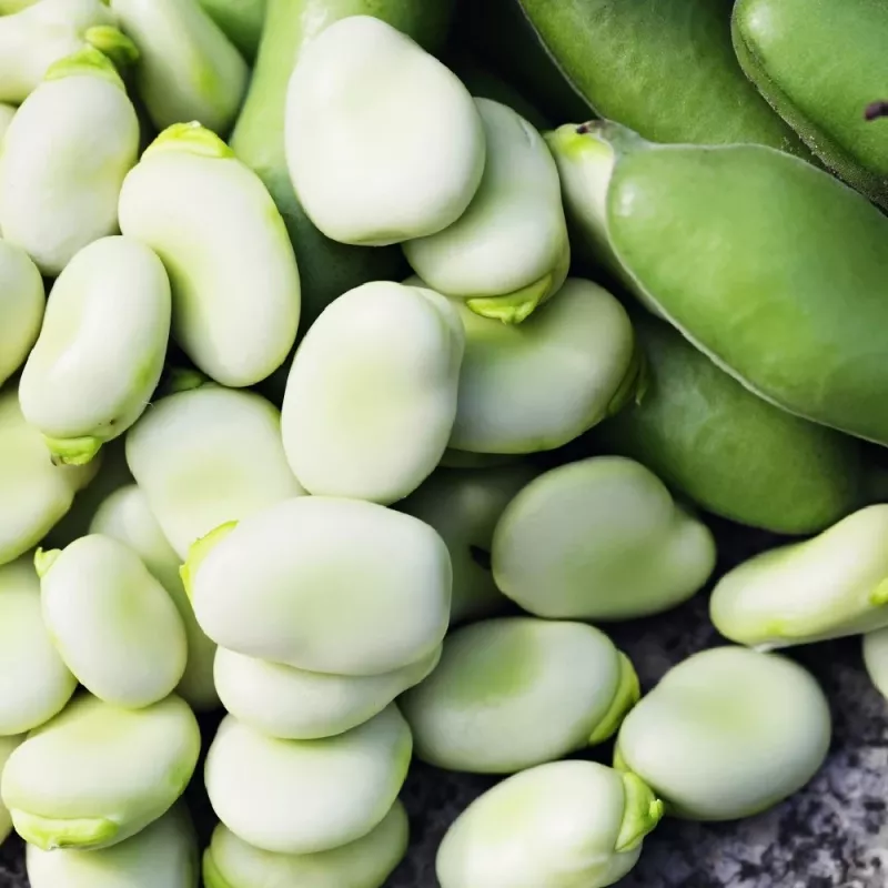 Opakowanie nasion Apte PNOS — Bób Jankiel Biały, 50 g