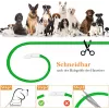 Obroża LED Anicoll zielony dla psów i kotów Model ładowane oświetlenie