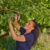 Sekator GARDENA PremiumCut 12241-20 bypass, szary/turkusowy