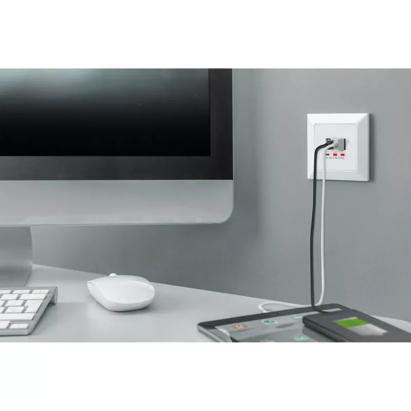 DIGITUS DA-70618 - wyjście USB - USB, USB Type C - 2 porty USB, 1 gniazdo USB-C - 3,1 A - RAL 9003, biel sygnałowa