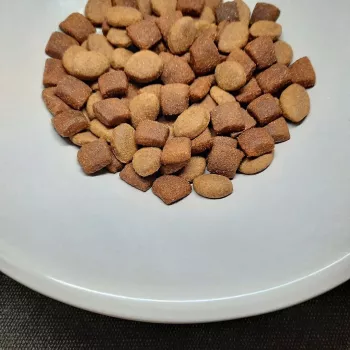 PUPIL Prime Mini bogata w drób z wołowiną - sucha karma dla psów - 10kg