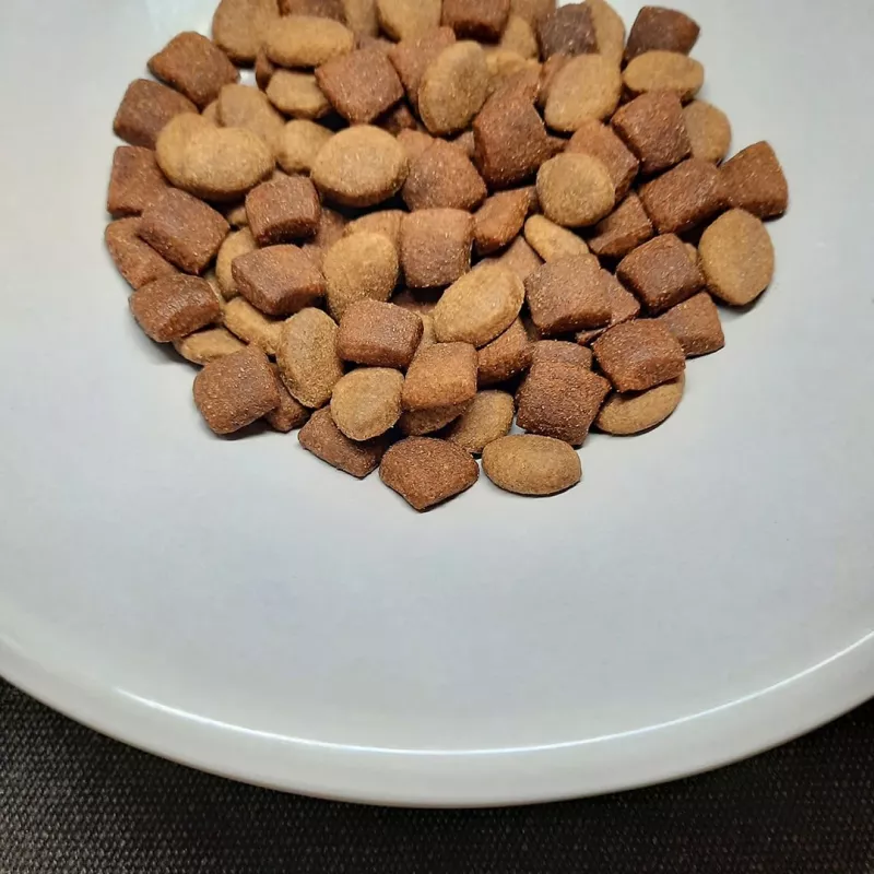 PUPIL Prime Mini bogata w drób z wołowiną - sucha karma dla psów - 10kg