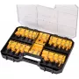Zestaw bitów DeWALT DT90017-QZ 22 szt.