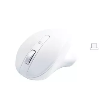 Matias Wireless USB-C Pro mysz biały