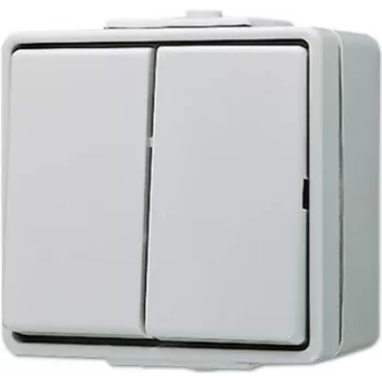 JUNG 605 W - Drucktasten-Schalter - 2P - Verkabelt - Grau - Duroplast - 250 V