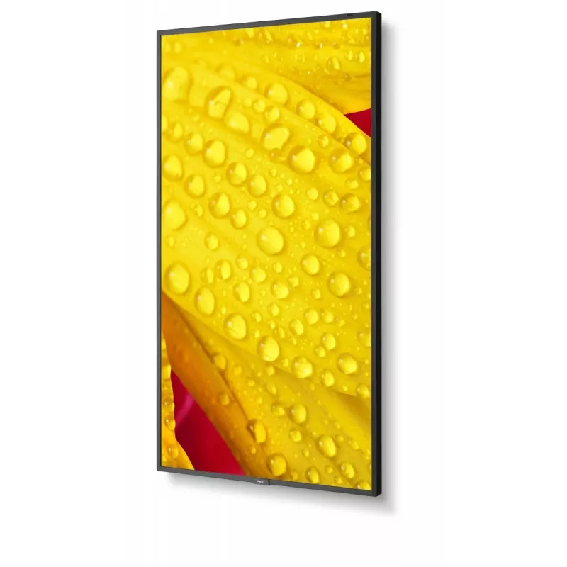 NEC MultiSync M651-2 Kiosk design 165,1 cm (65 cali) LED 500 cd/m² 4K Ultra HD Czarny Wbudowany procesor