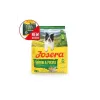 Sucha karma dla psa JOSERA kurczak dla dorosłych kotów 12,5 kg — drób, 24% białka, 12% tłuszczu, bezglutenowa