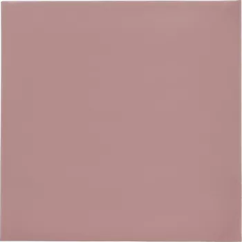 Thermal Grizzly Minus Pad 8 - 100 x 100 x 1.0 mm, 2 szt.