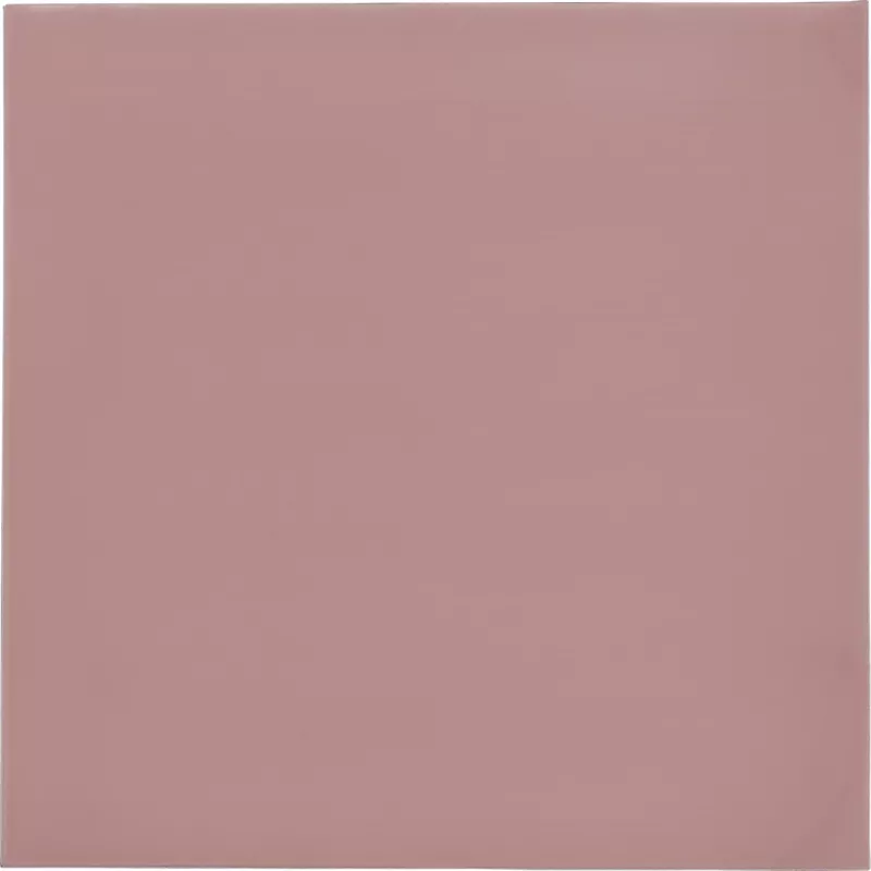 Thermal Grizzly Minus Pad 8 - 100 x 100 x 1.0 mm, 2 szt.