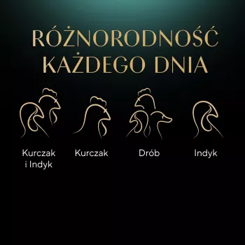 Mokra karma dla kota Sheba tacka Sos drobiowy (kurczak, indyk) 32 x 85 g tacka