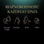 Mokra karma dla kota Sheba tacka Sos drobiowy (kurczak, indyk) 32 x 85 g tacka