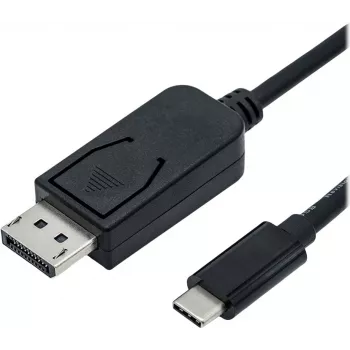 Kabel przejściowy ROLINE - 24-pin USB-C (M) na DisplayPort (M) - USB 3.1 / DisplayPort 1.2 - 2 m - dwukierunkowy, obsługa 4K 60 Hz (3840 x 2160) - Czarny (11.04.5958)