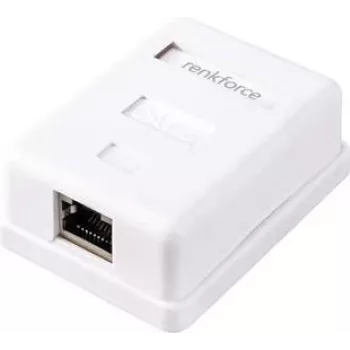 Renkforce Adapter sieciowy do montażu natynkowego CAT 6 1 Port Biały (RF-4541182)