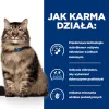 HILL'S PD Gastrointestinal Biome - sucha karma dla kota - 1,5 kg