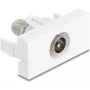 Socket-outlet IEC / F DeLOCK 90828 biały 75 Ω prosty