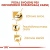 Sucha karma dla psa Royal Canin Cavalier King Charles Adult 1,5 kg — kurczak, mała rasa, skóra i sierść, wsparcie serca