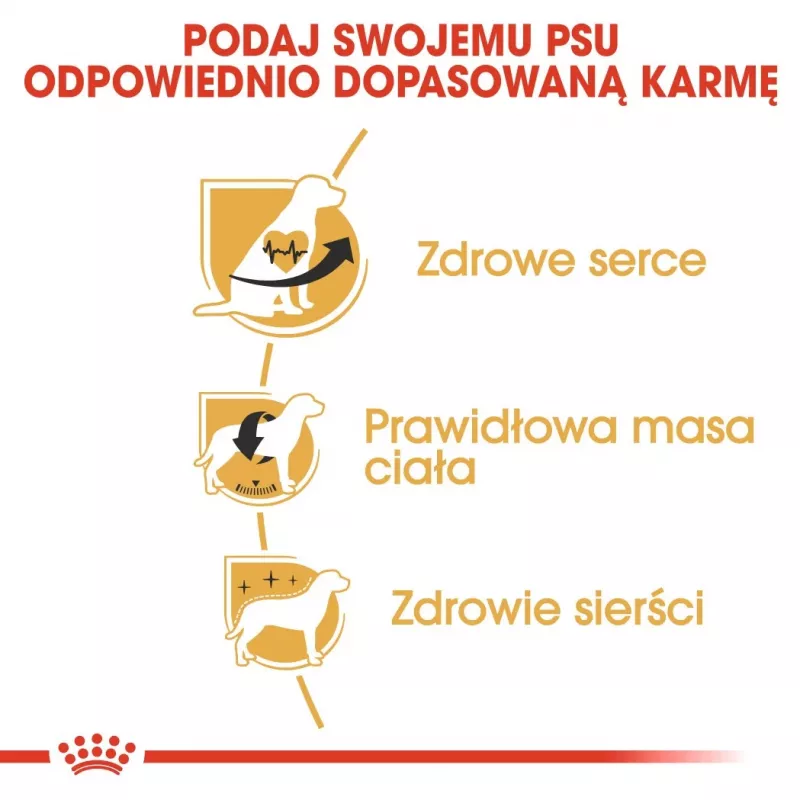 Sucha karma dla psa Royal Canin Cavalier King Charles Adult 1,5 kg — kurczak, mała rasa, skóra i sierść, wsparcie serca