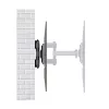 Uchwyt do telewizora 21-75 inch 50kg, MC-788