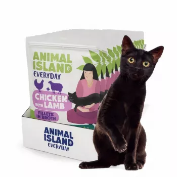 ANIMAL ISLAND Kurczak z filetami jagnięcymi w sosie - mokra karma dla kotów - 12x85g