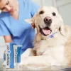 Żel na rany JM Sante Polisept Vet 30 ml dla psów i kotów, tuba 30 ml, 50 g
