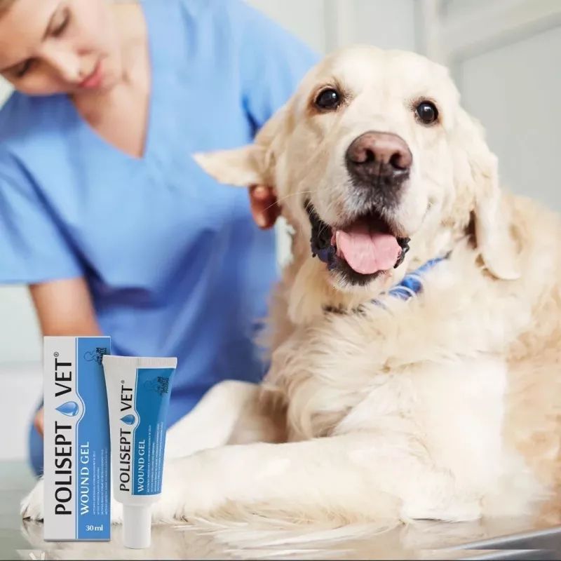 Żel na rany JM Sante Polisept Vet 30 ml dla psów i kotów, tuba 30 ml, 50 g
