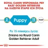 Royal Canin Golden Retriever Puppy sucha karma dla psów, 12 kg