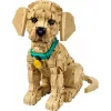 LEGO ICONS 11384 Szczeniak Golden Retriever