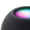 Głośnik przenośny Apple HomePod mini, szary