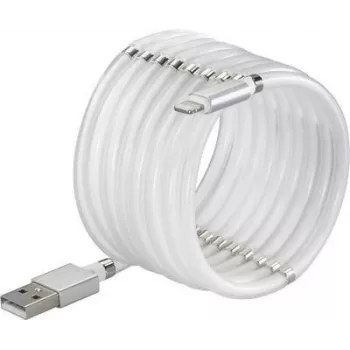 Renkforce USB 2.0 Connection Cable [1x USB 2.0 Plug A - 1x Apple Lightning-Plug] 1.00 m biały (TO-6897012)