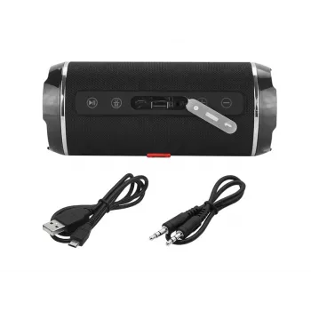 BLOW BT460 Przenośny głośnik stereo Czarny, Srebrny 10 W