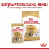 ROYAL CANIN Shih Tzu karma mokra dla psów dorosłych Pasztet 12x85 g