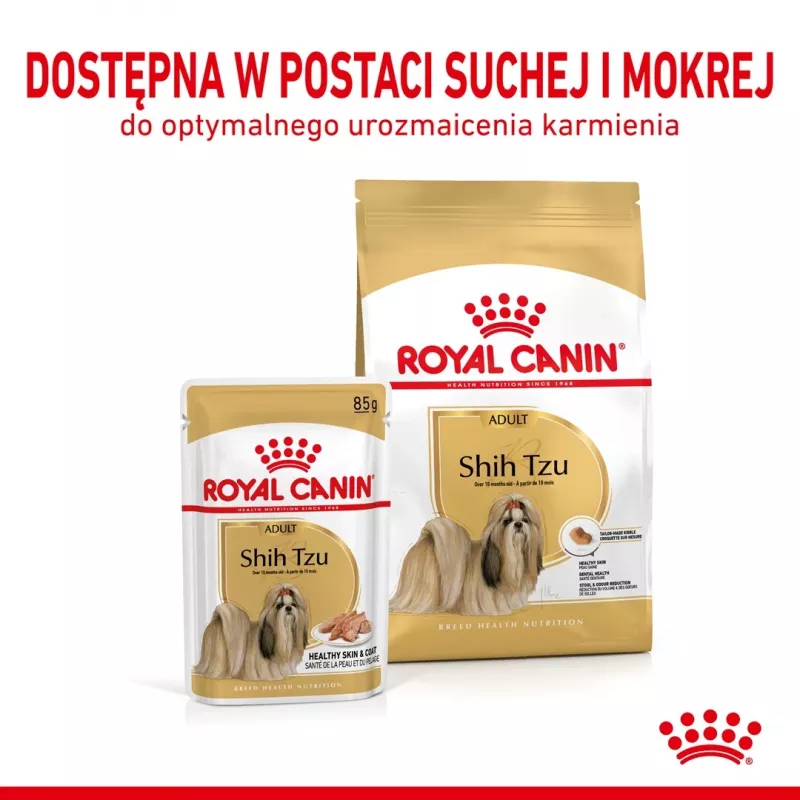 ROYAL CANIN Shih Tzu karma mokra dla psów dorosłych Pasztet 12x85 g