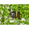 Gardena 13312-20 Product 2 L Czarny