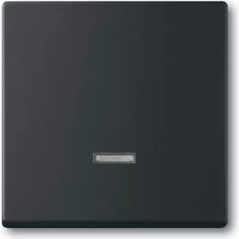 Busch Jaeger 2CKA006599A2968 Elektroantrieb IP20 Czarny (2CKA006599A2968)