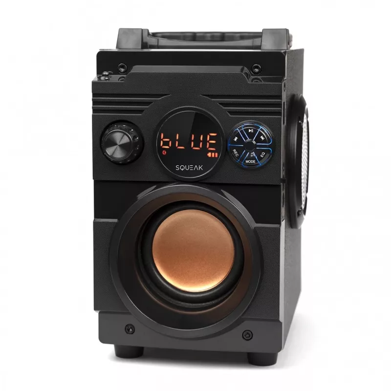 Głośnik Bluetooth 5.1 Squeak Bassblaster, Radio FM, Odtwarzacz MP3 SQ1001