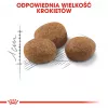 ROYAL CANIN Sterilised 7+ - sucha karma dla kotów - 10 kg