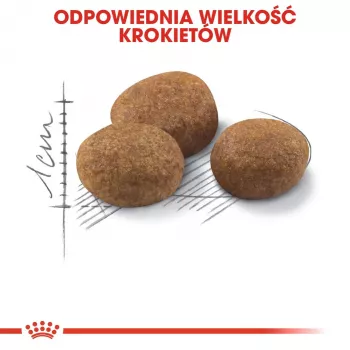 ROYAL CANIN Sterilised 7+ - sucha karma dla kotów - 10 kg