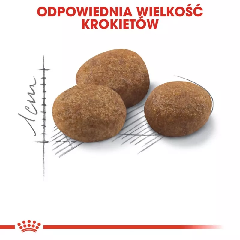 ROYAL CANIN Sterilised 7+ - sucha karma dla kotów - 10 kg