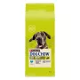 Purina DOG CHOW Large Breed Adult 14 kg z indykiem