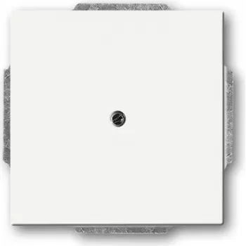 BUSCH JAEGER 1742-884 - Biały - Metal - Plastik - Busch-Jaeger - Mat - 63 mm - 63 mm