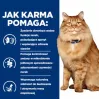 HILL'S PD K/D Kidney + Mobility Chicken - sucha karma dla kota - 3kg
