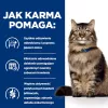 HILL'S PD Gastrointestinal Biome - sucha karma dla kota - 1,5 kg