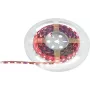 Taśma LED EUROLITE 50530136, 5 m, 5050 SMD RGB, 12 V