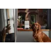 Petcube Camera Bites 2 Lite/BL10US