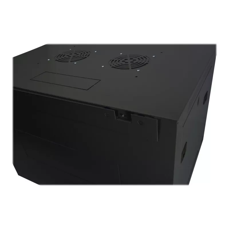 DIGITUS Dynamic Basic DN-19 16-U-EC-SW - Szafa - Szafa sieciowa - przeznaczona do montażu na ścianie - RAL 9005 - 16U - 48,3 cm (19 inch)