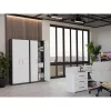 OLIV 2D CLOSED SHELVING UNIT, ANTHRACITE/Biały SET