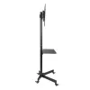 Stolik/wózek pod telewizor na kółkach + uchwyt 23-55 25 kg S-09