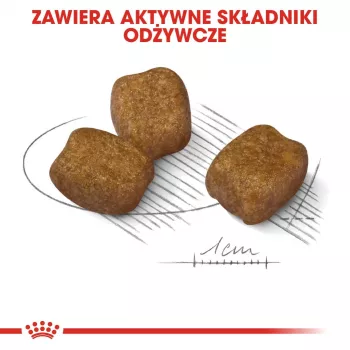 Sucha karma dla psa Royal Canin Mini Dental Care 3 kg — dorosłe psy ras małych, drób, pielęgnacja zębów