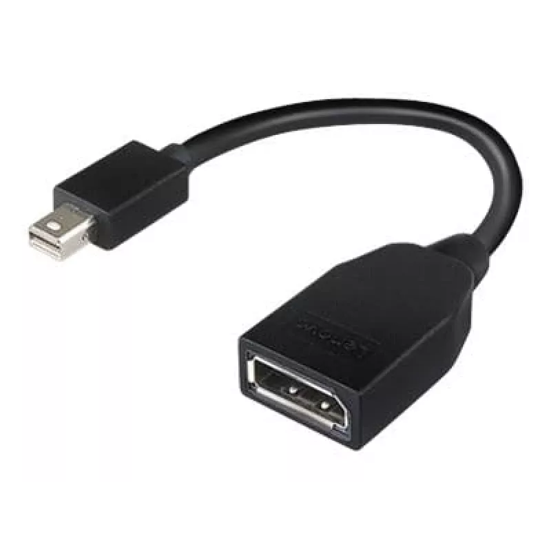 Lenovo 4X90L13971 Kabel DisplayPort Mini DisplayPort Czarny