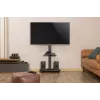 Gembird TVS-75S-02 stojak podłogowy pod telewizor z kółkami, 37 - 75, czarny